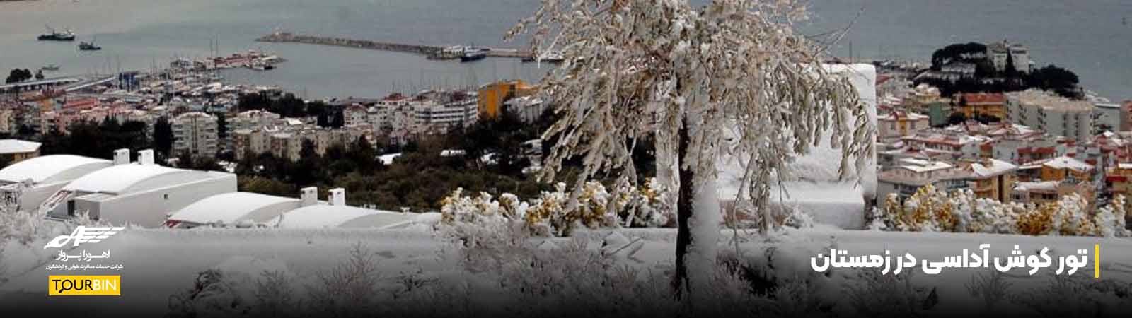 تور کوش آداسی در زمستان